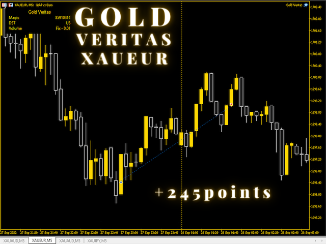 图片[3]-华睿泰MT4黄金版 Gold Veritas EA MT4 v1.6 最新版 DLL解锁-EA侦探社 - 全球领先的MQL5官网外汇EA机器人MT4自动化交易EA资源免费分享网站