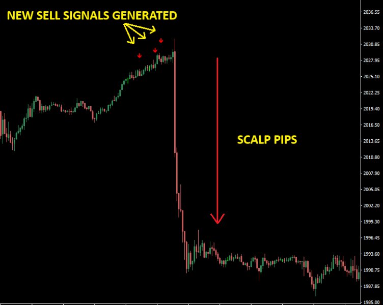 图片[1]-Pips Hunter PRO MT4-EA侦探社 - 全球领先的MQL5官网外汇EA机器人MT4自动化交易EA资源免费分享网站