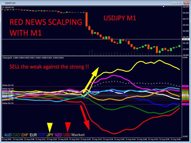 图片[2]-Advanced Currency Strength28 MT5-EA侦探社 - 全球领先的MQL5官网外汇EA机器人MT4自动化交易EA资源免费分享网站