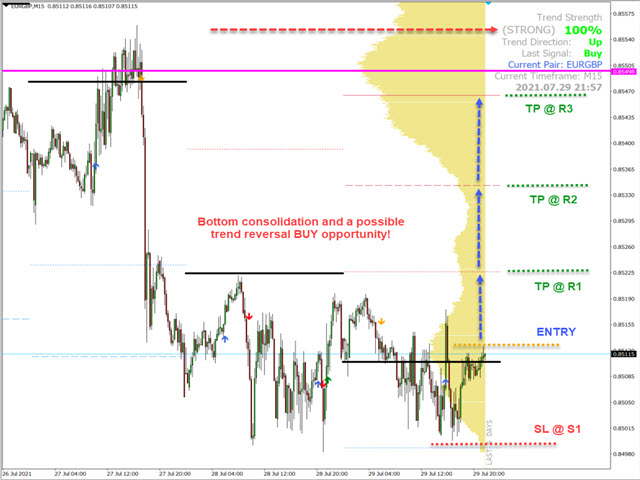 图片[9]-Winshots Massive FX Profits-EA侦探社 - 全球领先的MQL5官网外汇EA机器人MT4自动化交易EA资源免费分享网站
