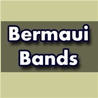 Bermaui Bands-EA侦探社 - 全球领先的MQL5官网外汇EA机器人MT4自动化交易EA资源免费分享网站