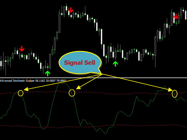 图片[3]-Advanced Stochastic Scalper MT5-EA侦探社 - 全球领先的MQL5官网外汇EA机器人MT4自动化交易EA资源免费分享网站