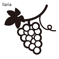 Ilaria-EA侦探社 - 全球领先的MQL5官网外汇EA机器人MT4自动化交易EA资源免费分享网站