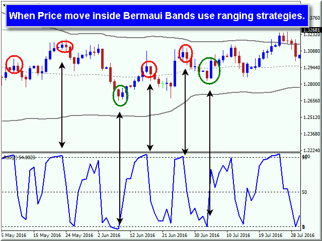 图片[7]-Bermaui Bands 外汇EA-EA侦探社 - 全球领先的MQL5官网外汇EA机器人MT4自动化交易EA资源免费分享网站