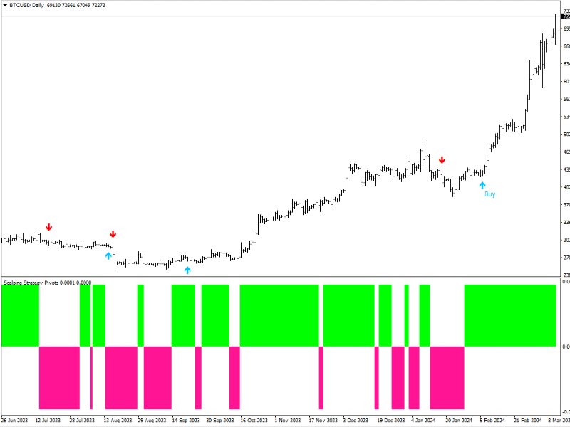图片[5]-Scalping Strategy Pivots 外汇EA-EA侦探社 - 全球领先的MQL5官网外汇EA机器人MT4自动化交易EA资源免费分享网站
