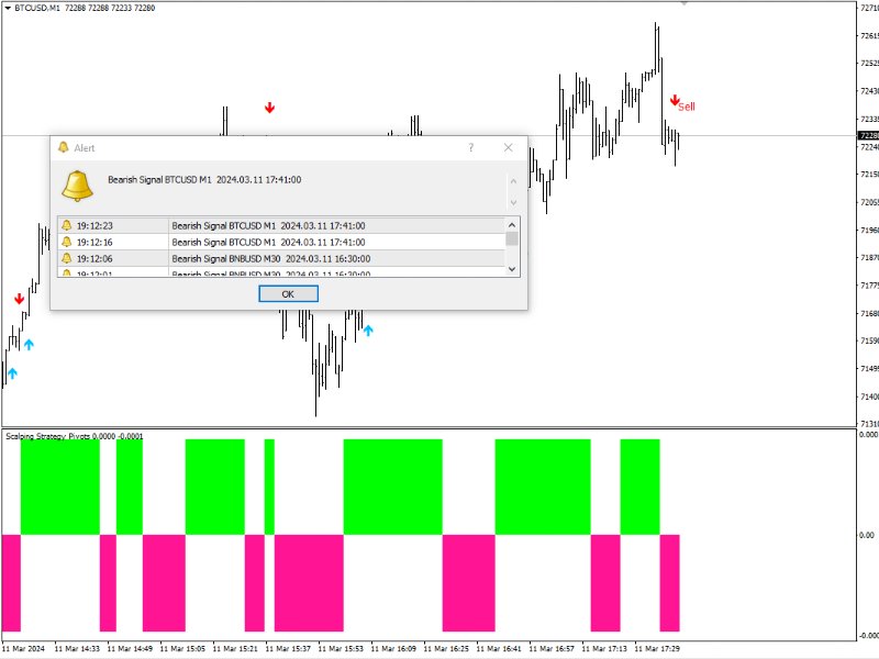 图片[6]-Scalping Strategy Pivots 外汇EA-EA侦探社 - 全球领先的MQL5官网外汇EA机器人MT4自动化交易EA资源免费分享网站