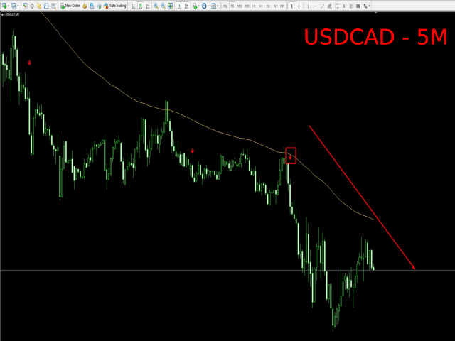 图片[5]-Advanced Trend 外汇EA-EA侦探社 - 全球领先的MQL5官网外汇EA机器人MT4自动化交易EA资源免费分享网站