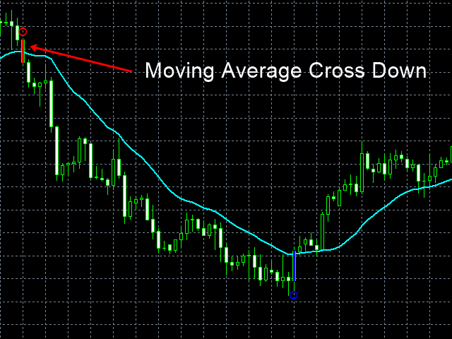 图片[2]-Fractal Moving Average Indicator MT4 外汇EA-EA侦探社 - 全球领先的MQL5官网外汇EA机器人MT4自动化交易EA资源免费分享网站