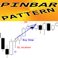 PinBar Pattern mf 外汇EA-EA侦探社 - 全球领先的MQL5官网外汇EA机器人MT4自动化交易EA资源免费分享网站