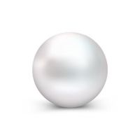 Pearl 外汇EA-EA侦探社 - 全球领先的MQL5官网外汇EA机器人MT4自动化交易EA资源免费分享网站