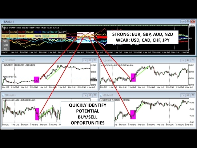 图片[6]-Real Currency Strength 外汇EA-EA侦探社 - 全球领先的MQL5官网外汇EA机器人MT4自动化交易EA资源免费分享网站