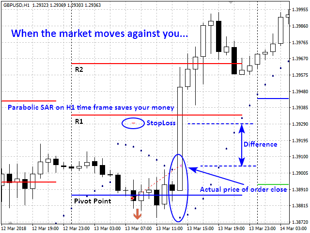 图片[5]-Pivot Point Trading System 外汇EA-EA侦探社 - 全球领先的MQL5官网外汇EA机器人MT4自动化交易EA资源免费分享网站