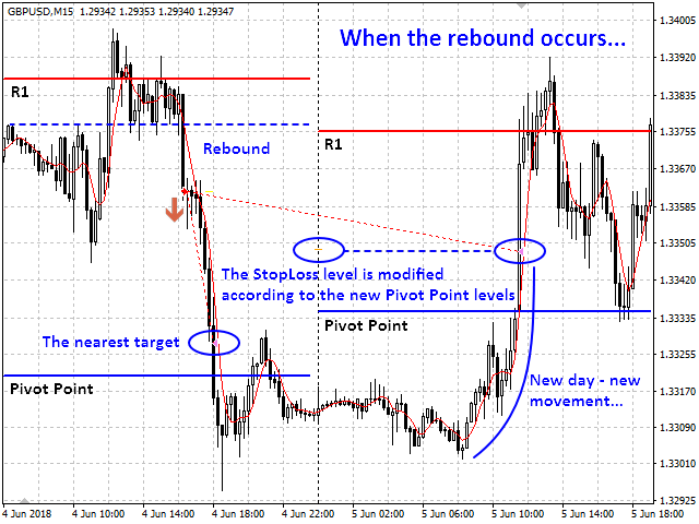 图片[6]-Pivot Point Trading System 外汇EA-EA侦探社 - 全球领先的MQL5官网外汇EA机器人MT4自动化交易EA资源免费分享网站