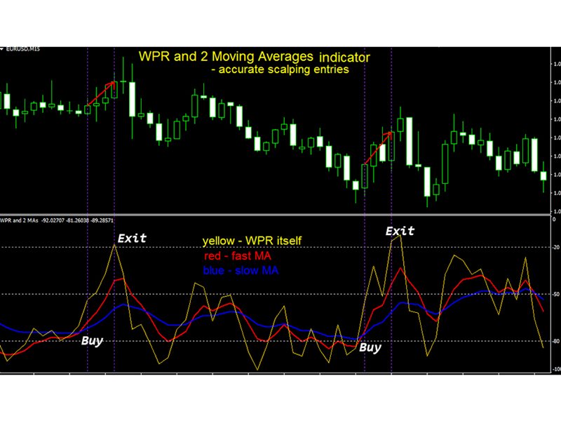 图片[1]-WPR with 2 Moving Averages m 外汇EA-EA侦探社 - 全球领先的MQL5官网外汇EA机器人MT4自动化交易EA资源免费分享网站