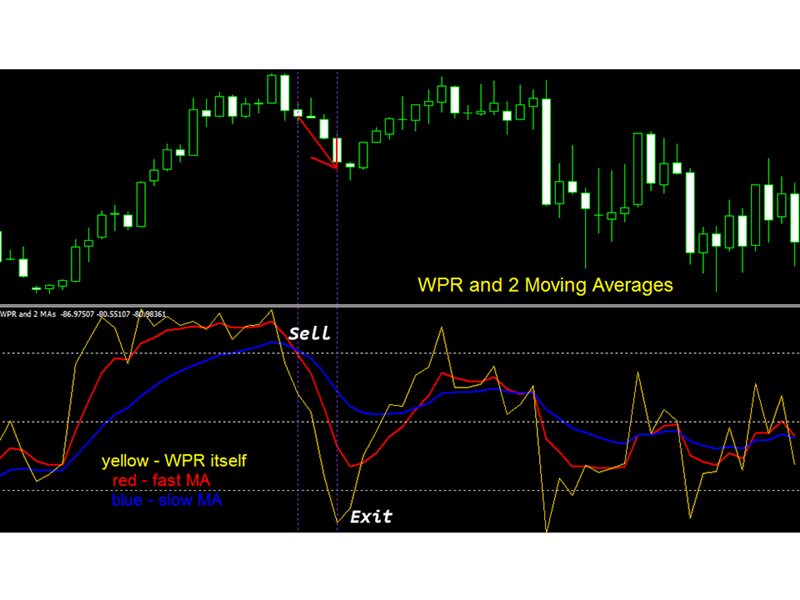 图片[2]-WPR with 2 Moving Averages m 外汇EA-EA侦探社 - 全球领先的MQL5官网外汇EA机器人MT4自动化交易EA资源免费分享网站