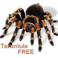 Tarantula 外汇EA-EA侦探社 - 全球领先的MQL5官网外汇EA机器人MT4自动化交易EA资源免费分享网站