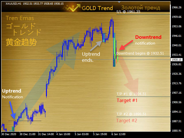 图片[6]-GoldTrend MT4 外汇EA-EA侦探社 - 全球领先的MQL5官网外汇EA机器人MT4自动化交易EA资源免费分享网站