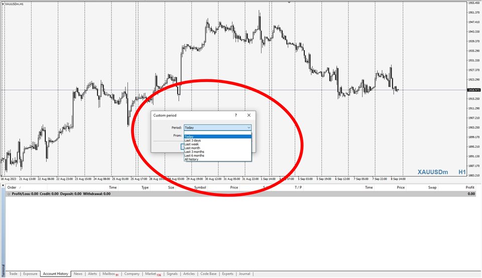 图片[2]-Export Order History 外汇EA-EA侦探社 - 全球领先的MQL5官网外汇EA机器人MT4自动化交易EA资源免费分享网站