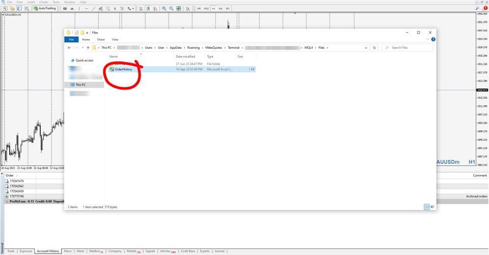 图片[6]-Export Order History 外汇EA-EA侦探社 - 全球领先的MQL5官网外汇EA机器人MT4自动化交易EA资源免费分享网站