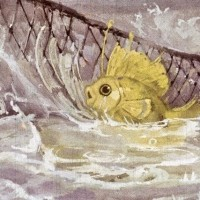 Seine 外汇EA-EA侦探社 - 全球领先的MQL5官网外汇EA机器人MT4自动化交易EA资源免费分享网站