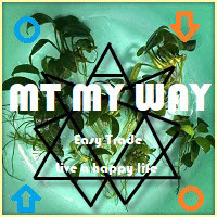 MT My Way 外汇EA-EA侦探社 - 全球领先的MQL5官网外汇EA机器人MT4自动化交易EA资源免费分享网站