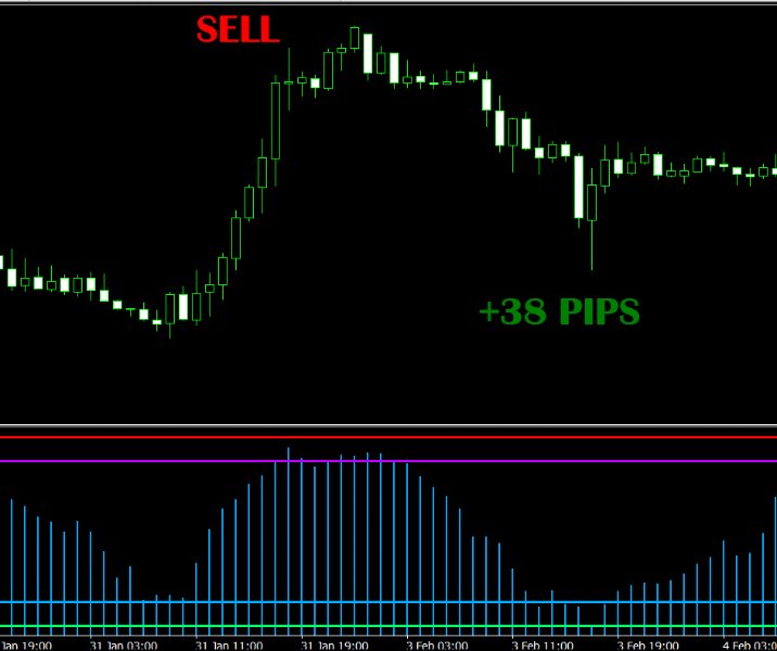 图片[2]-Volume High Low Finder 外汇EA-EA侦探社 - 全球领先的MQL5官网外汇EA机器人MT4自动化交易EA资源免费分享网站