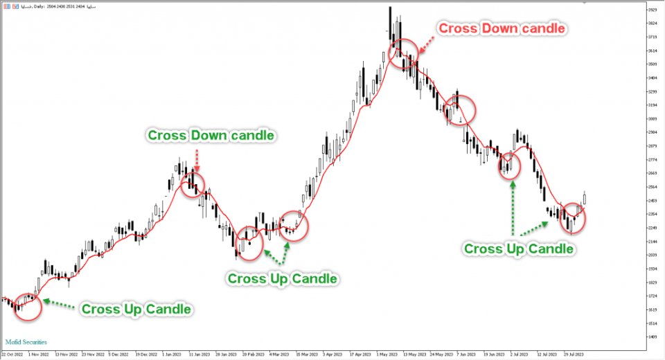 图片[6]-TFM Multicross signal finder robot for forex 外汇EA-EA侦探社 - 全球领先的MQL5官网外汇EA机器人MT4自动化交易EA资源免费分享网站