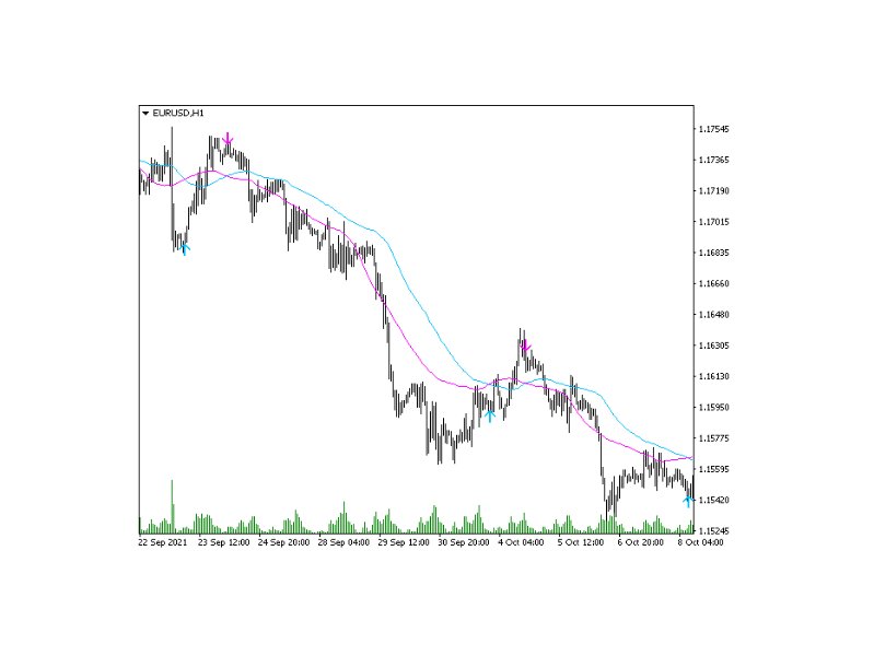 图片[6]-Trend Track 外汇EA-EA侦探社 - 全球领先的MQL5官网外汇EA机器人MT4自动化交易EA资源免费分享网站