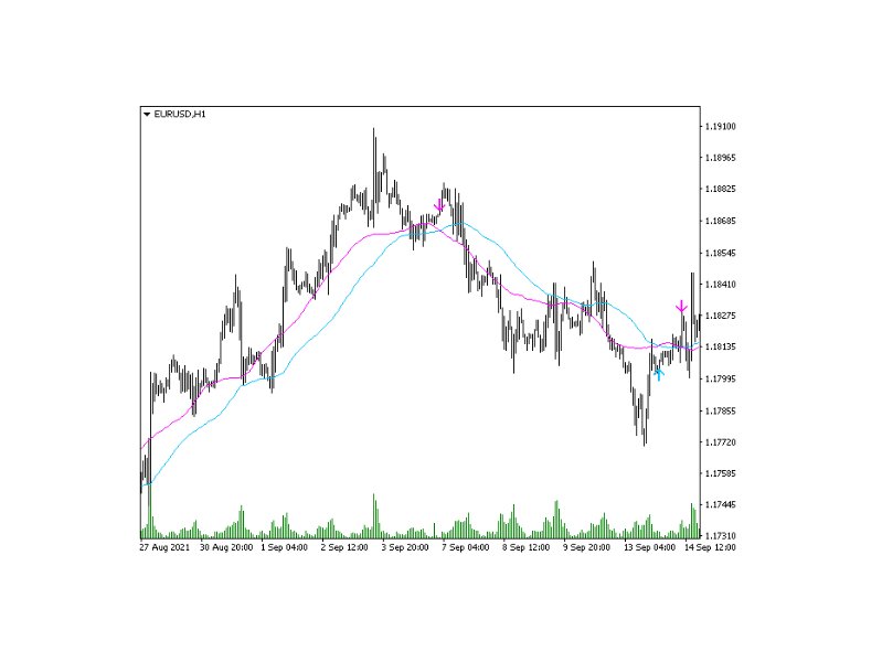 图片[8]-Trend Track 外汇EA-EA侦探社 - 全球领先的MQL5官网外汇EA机器人MT4自动化交易EA资源免费分享网站