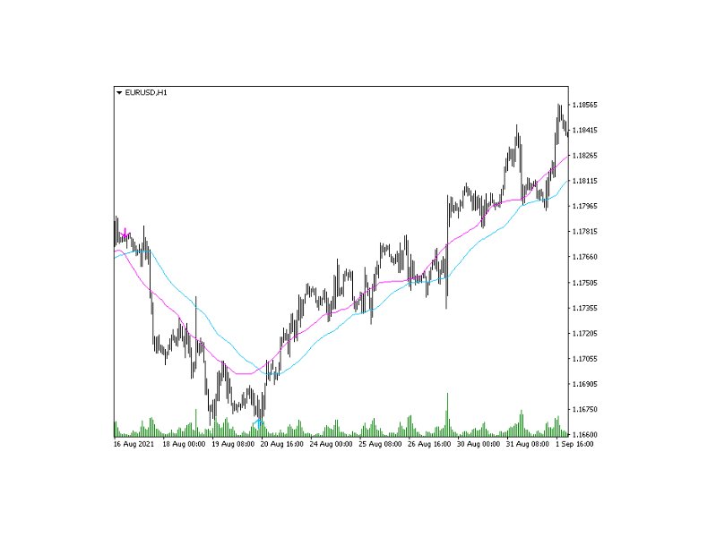 图片[9]-Trend Track 外汇EA-EA侦探社 - 全球领先的MQL5官网外汇EA机器人MT4自动化交易EA资源免费分享网站