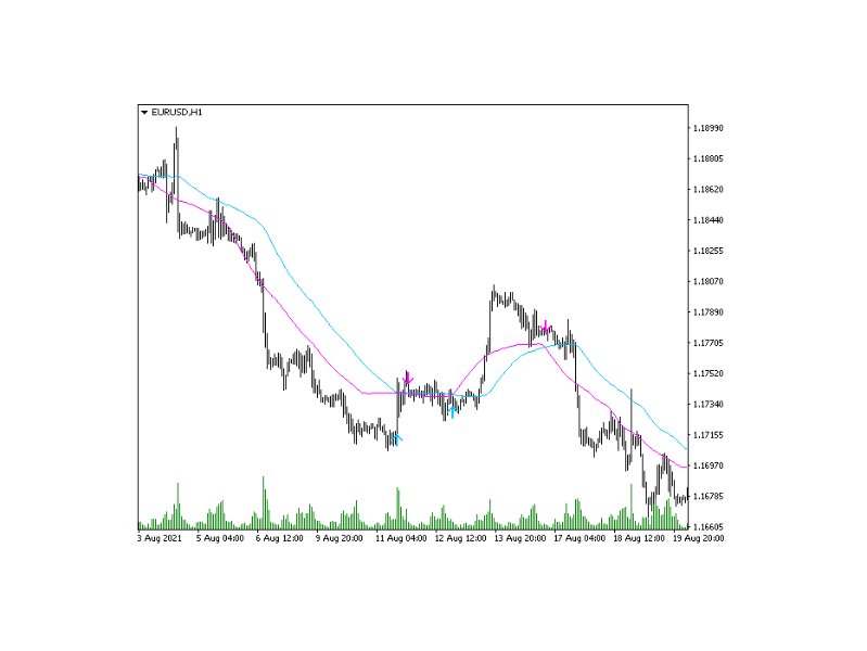 图片[10]-Trend Track 外汇EA-EA侦探社 - 全球领先的MQL5官网外汇EA机器人MT4自动化交易EA资源免费分享网站