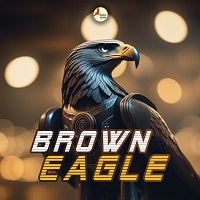 Brown Eagle 外汇EA-EA侦探社 - 全球领先的MQL5官网外汇EA机器人MT4自动化交易EA资源免费分享网站