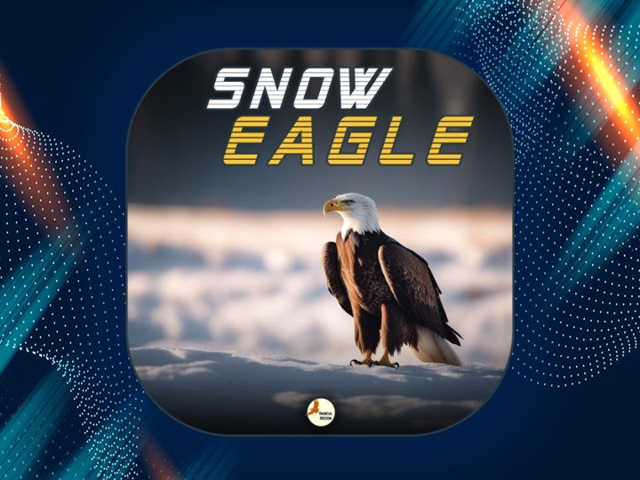 图片[1]-Snow Eagle 外汇EA-EA侦探社 - 全球领先的MQL5官网外汇EA机器人MT4自动化交易EA资源免费分享网站