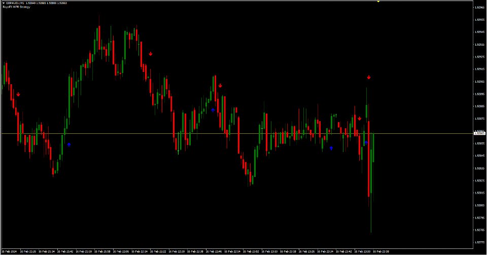 图片[2]-RaysFX WPR Strategy 外汇EA-EA侦探社 - 全球领先的MQL5官网外汇EA机器人MT4自动化交易EA资源免费分享网站