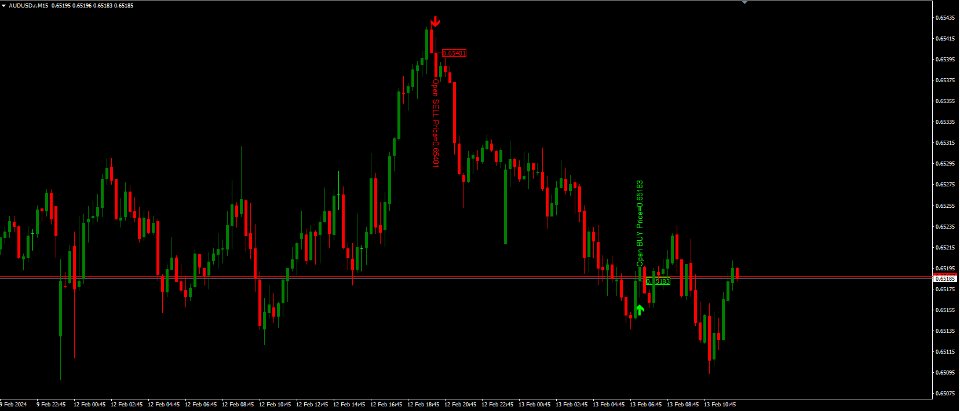 图片[2]-RaysFX Candlestick Signals 外汇EA-EA侦探社 - 全球领先的MQL5官网外汇EA机器人MT4自动化交易EA资源免费分享网站