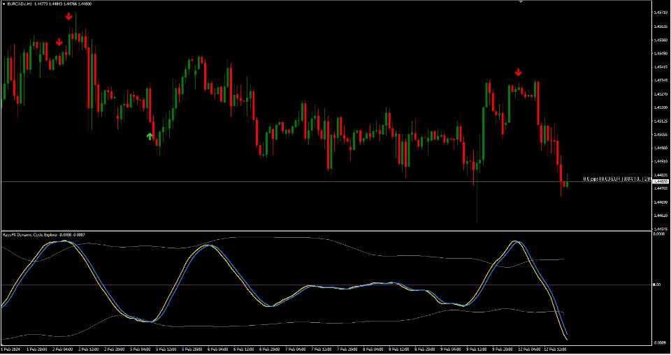 图片[1]-RaysFX Dynamic Cycle Explorer 外汇EA-EA侦探社 - 全球领先的MQL5官网外汇EA机器人MT4自动化交易EA资源免费分享网站