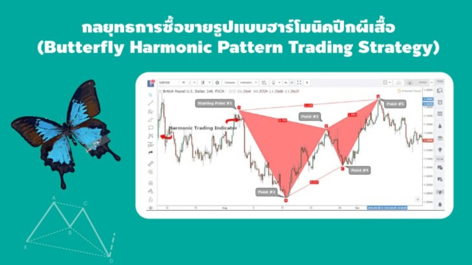图片[1]-analyzer-EA侦探社 - 全球领先的MQL5官网外汇EA机器人MT4自动化交易EA资源免费分享网站