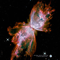 Mql5官网 Butterfly Nebula 外汇EA-EA侦探社 - 全球领先的MQL5官网外汇EA机器人MT4自动化交易EA资源免费分享网站