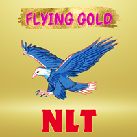 Mql5官网 Flying Gold 外汇EA-EA侦探社 - 全球领先的MQL5官网外汇EA机器人MT4自动化交易EA资源免费分享网站