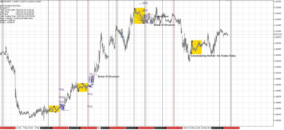 图片[5]-Mql5官网 Bliz Golden Strategy Mt4 外汇EA-EA侦探社 - 全球领先的MQL5官网外汇EA机器人MT4自动化交易EA资源免费分享网站