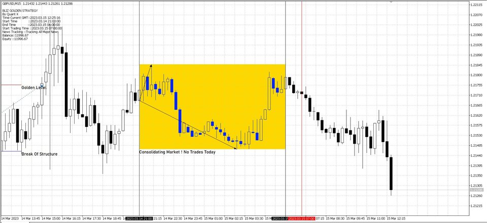 图片[8]-Mql5官网 Bliz Golden Strategy Mt4 外汇EA-EA侦探社 - 全球领先的MQL5官网外汇EA机器人MT4自动化交易EA资源免费分享网站