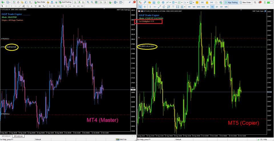 图片[1]-Mql5官网 GGP Trade Copier MT4 外汇EA-EA侦探社 - 全球领先的MQL5官网外汇EA机器人MT4自动化交易EA资源免费分享网站