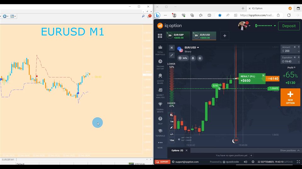 图片[1]-d-EA侦探社 - 全球领先的MQL5官网外汇EA机器人MT4自动化交易EA资源免费分享网站