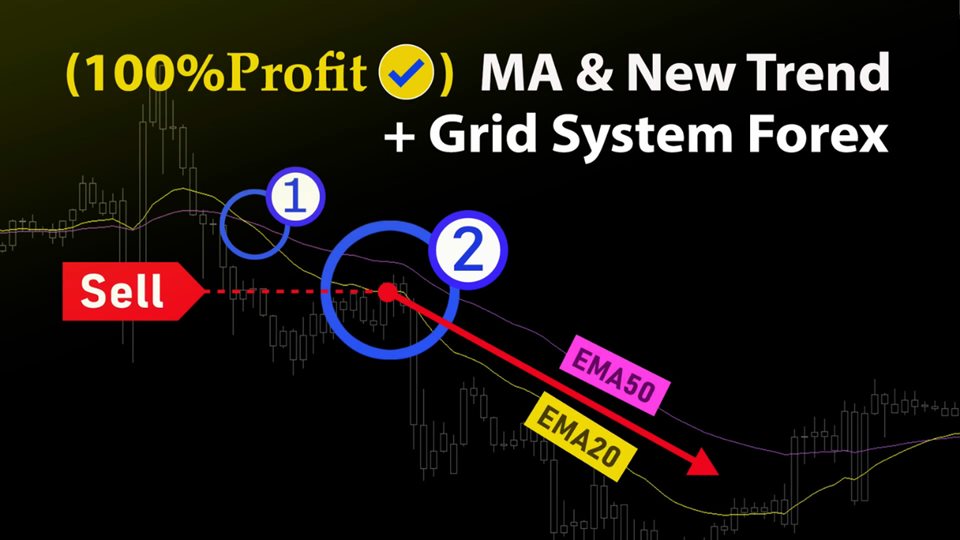 图片[2]-Mql5官网 EA SMA High Win Rate Strategy 外汇EA-EA侦探社 - 全球领先的MQL5官网外汇EA机器人MT4自动化交易EA资源免费分享网站