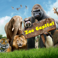 Mql5官网 Hama and Hull EA for Mt4 by ZooCapital 外汇EA-EA侦探社 - 全球领先的MQL5官网外汇EA机器人MT4自动化交易EA资源免费分享网站