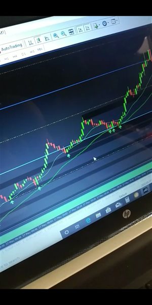 图片[2]-Mql5官网 Jeslyn 外汇EA-EA侦探社 - 全球领先的MQL5官网外汇EA机器人MT4自动化交易EA资源免费分享网站