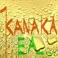 Mql5官网 Kanaka Expert MT4 外汇EA-EA侦探社 - 全球领先的MQL5官网外汇EA机器人MT4自动化交易EA资源免费分享网站