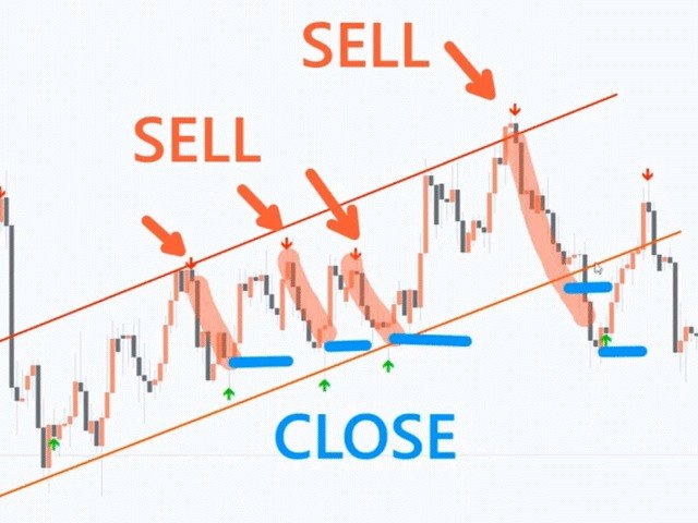 图片[6]-信号-EA侦探社 - 全球领先的MQL5官网外汇EA机器人MT4自动化交易EA资源免费分享网站