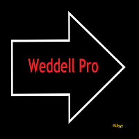 Mql5官网 Weddell Pro 外汇EA-EA侦探社 - 全球领先的MQL5官网外汇EA机器人MT4自动化交易EA资源免费分享网站