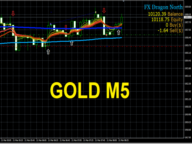 图片[2]-Mql5官网 EA FX Dragon North X 外汇EA-EA侦探社 - 全球领先的MQL5官网外汇EA机器人MT4自动化交易EA资源免费分享网站